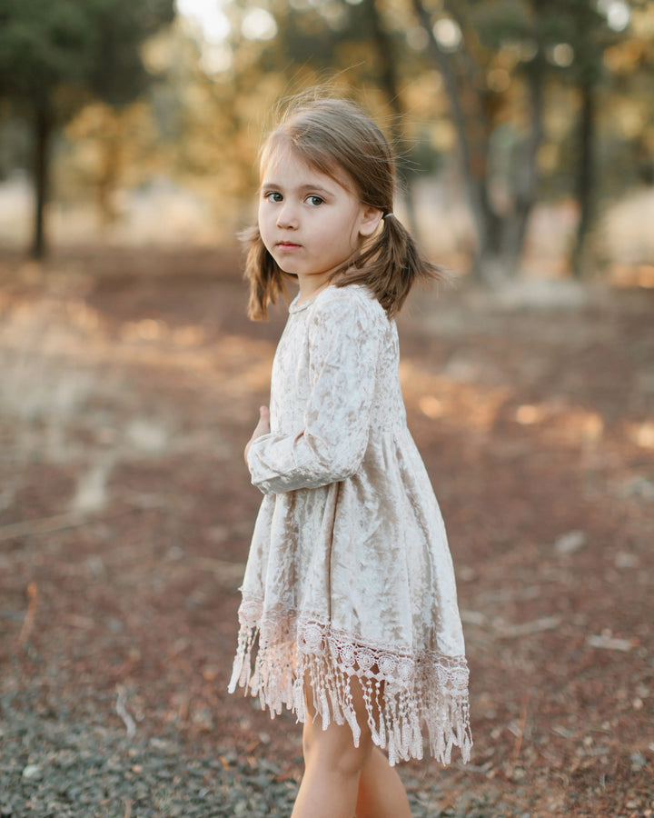 Indi Boho Velvet Dress in Beige - Reverie Threads