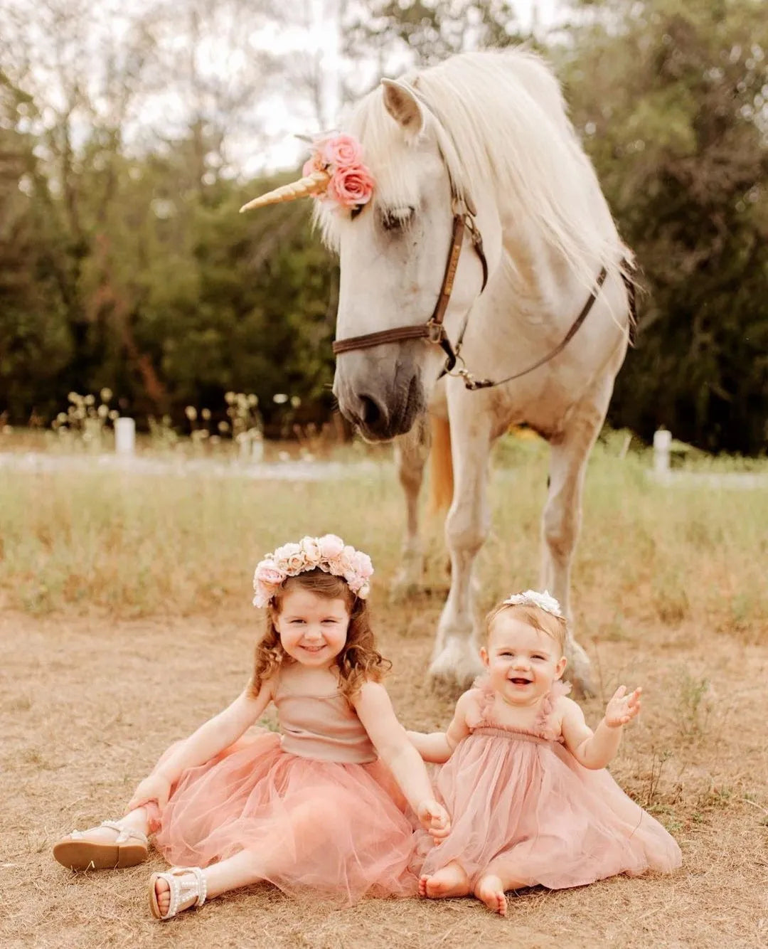 Daphne Dress in Dusty Rose