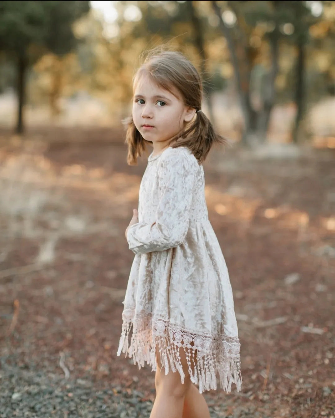 Indi Boho Velvet Dress in Beige