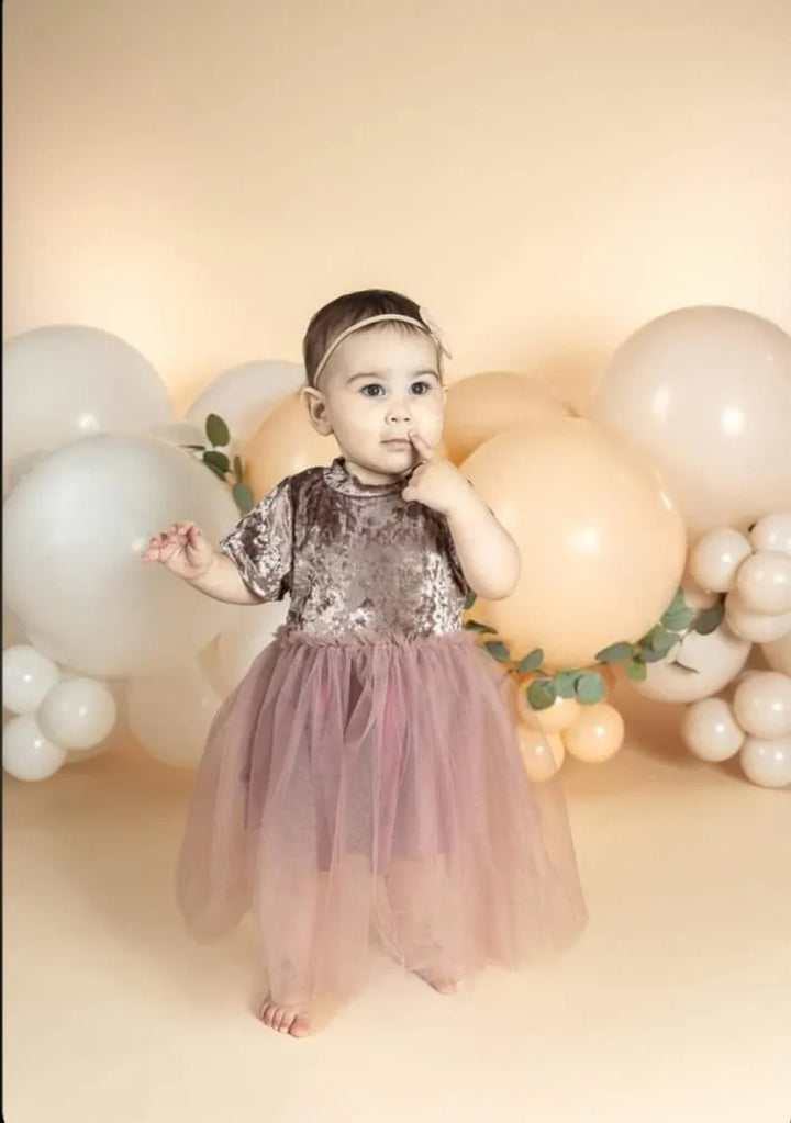 Velvet Tutu Dress in Mauve