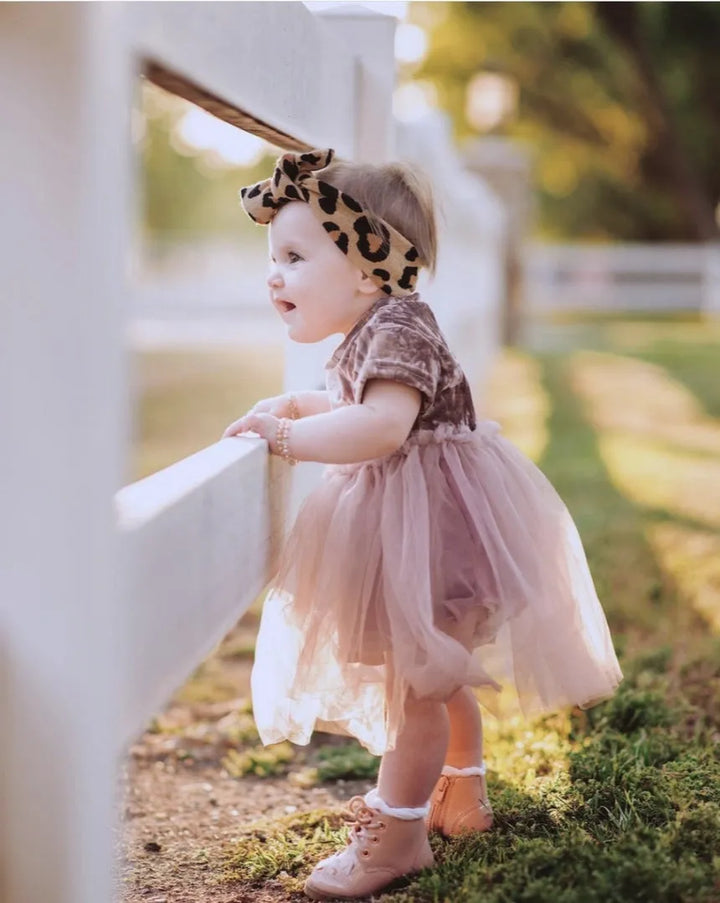 Velvet Tutu Dress in Mauve