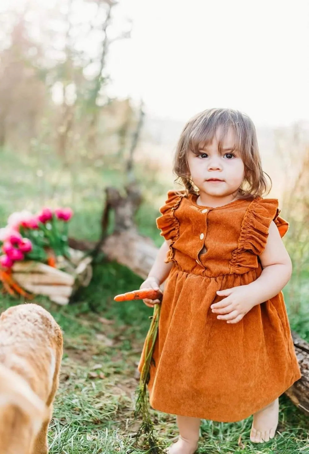 Serenity Corduroy Dress in Rust