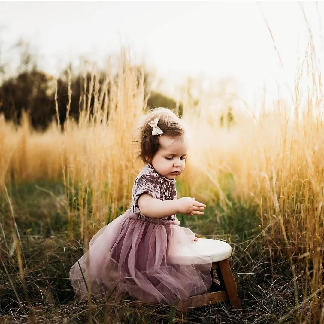 Velvet Tutu Dress in Mauve