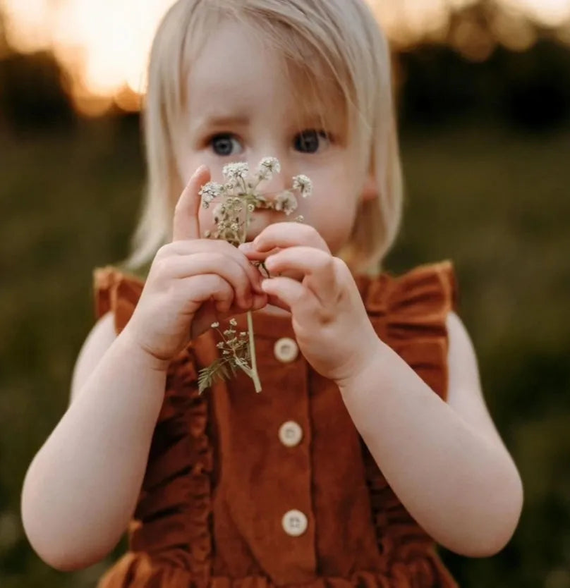 Serenity Corduroy Dress in Rust