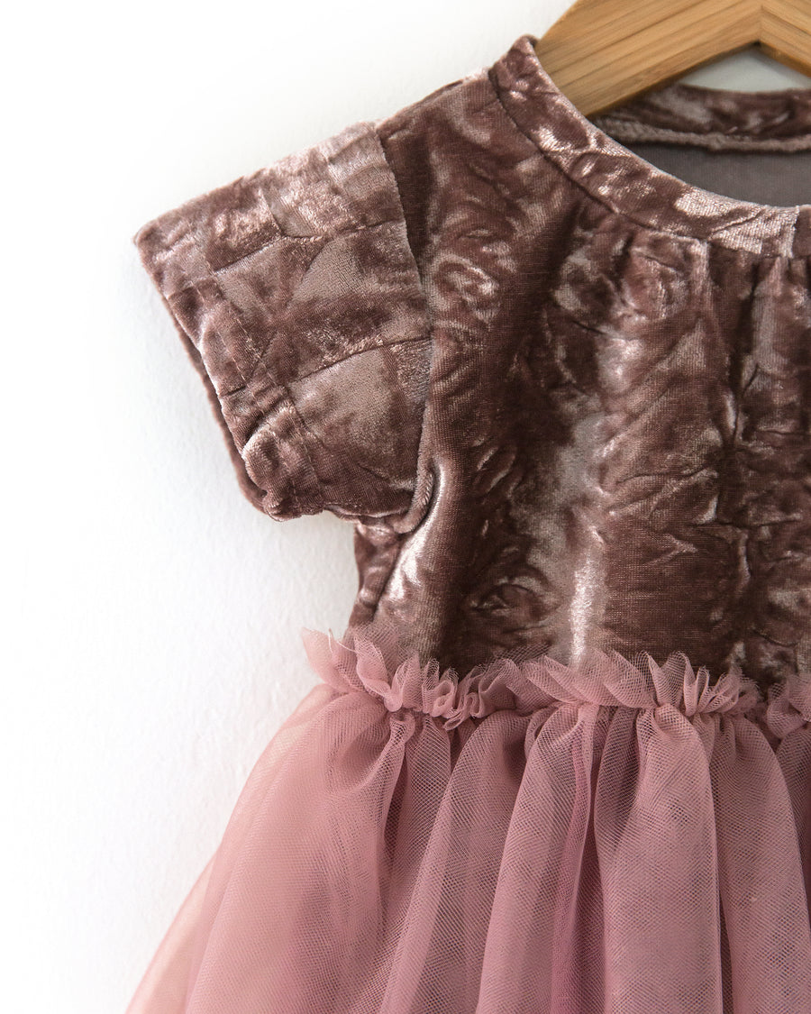Velvet Tutu Dress in Mauve - Reverie Threads